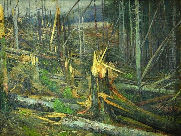 The Tragedy Of The Forest On A Gate By Windstorm - view 1