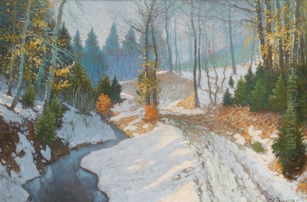 Winter Am Waldbach - view 1