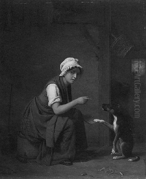 Training The Dog - view 1