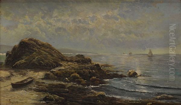 Rocky Shore With Sailboats In The Distance - view 1