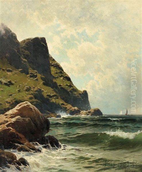 Ocean Cliffs, Sunlight - view 1