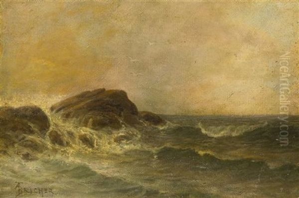 Catching Surf - view 1