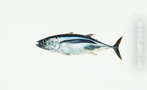 Albacore by Sir William Allan