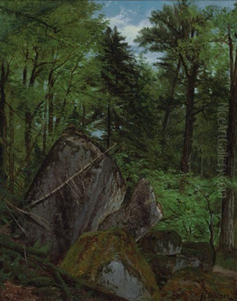 Wooded Landscape - view 1