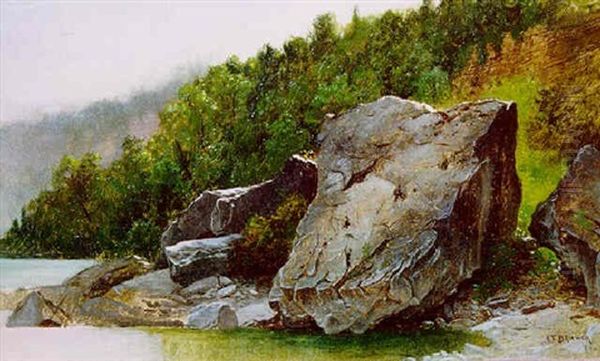 Rocky Shore, N.e. - view 1