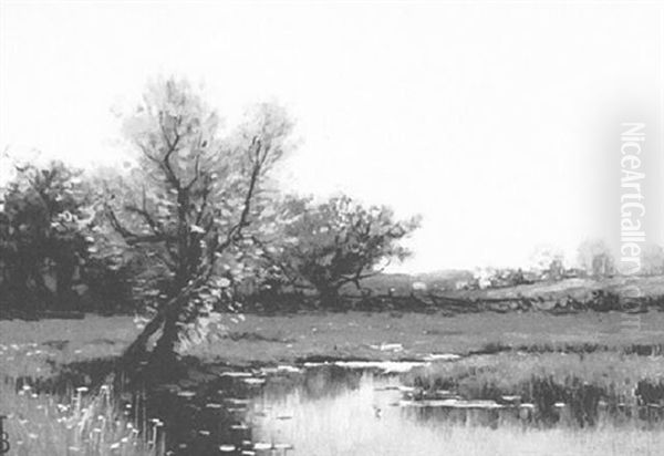 Spring - view 1