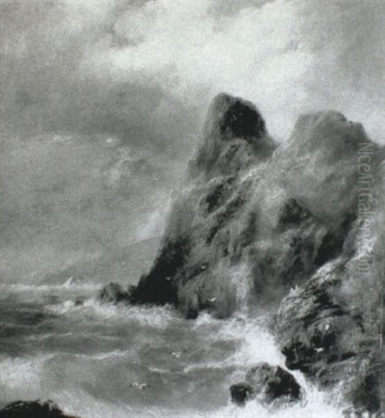 Rocky Shore - view 1