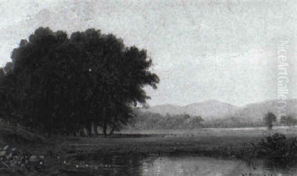 Pasturelands - view 1