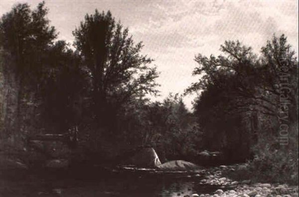 Forest Brook - view 1