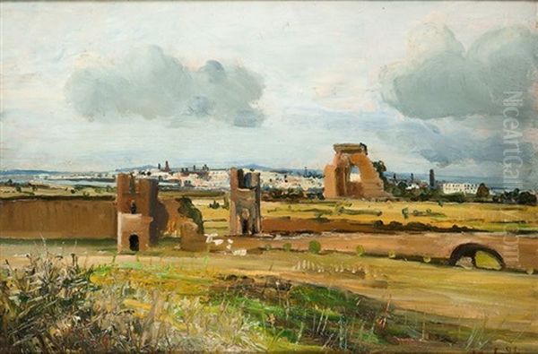 Ruderi Nella Pianura - view 1