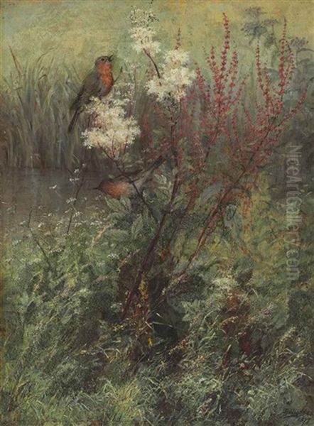 Songbirds In A Woodland Marsh - view 1