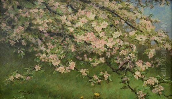 Phoebe In Apple Blossoms - view 1