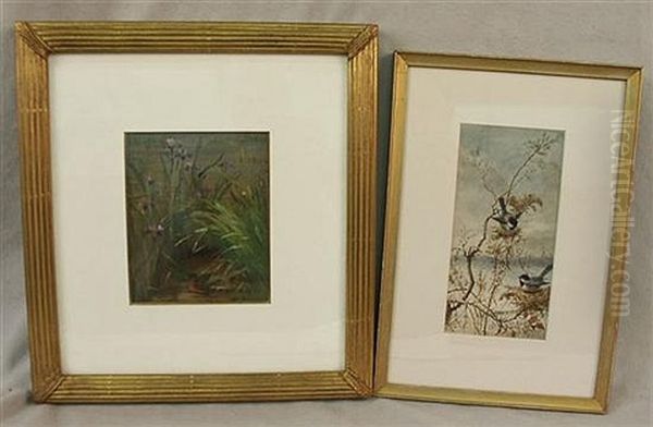 Two Ornithological Paintings - view 1