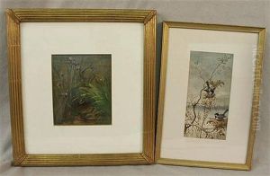Two Ornithological Paintings by Fidelia Bridges