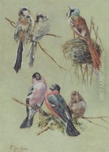 Birds by Fidelia Bridges