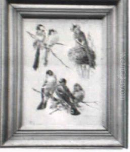 Study Of Birds by Fidelia Bridges