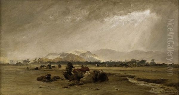 Halte Des Chameliers, Biskra - view 1