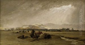 Halte Des Chameliers, Biskra