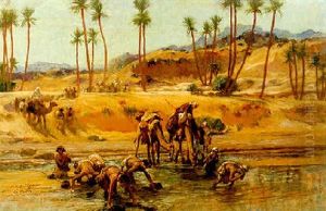 The Nubian Desert