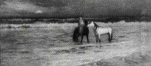 Calm: Coast Of Algiers