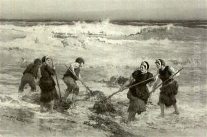 Gathering Seaweed Gathering Seaweed