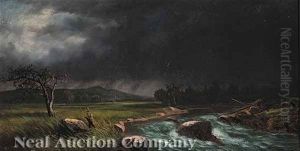 California Fly Fishing by Anna Frances Briggs