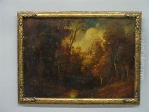 Dark Forest