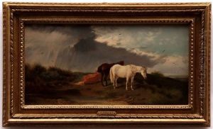Horses On A Marsh