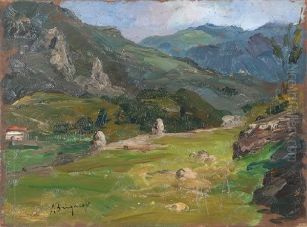 Paesaggio Alpino - view 1