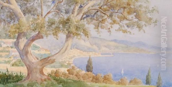 Extensivecontinental Coastal View - view 1