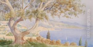 Extensivecontinental Coastal View by Michele Allavena