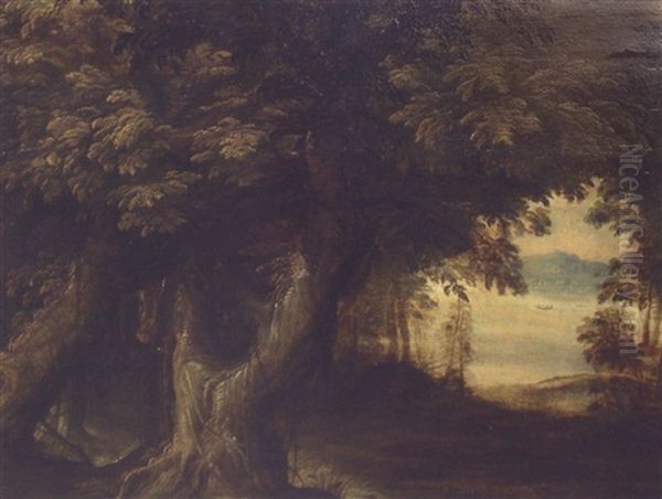Waldlandschaft - view 1