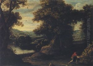Narcissus