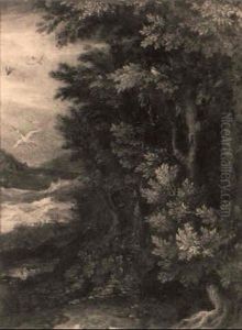 Paysage Forestier Aux Oiseaux Paysage Forestier Aux Oiseaux
