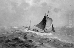 The "tern I" The "tern I"