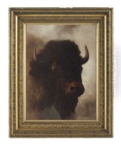 Portrait Of A Highland Cow by Franklin Dullin Briscoe