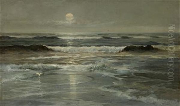 Early Moon Rise Great-egg Harbor Shoals - view 1