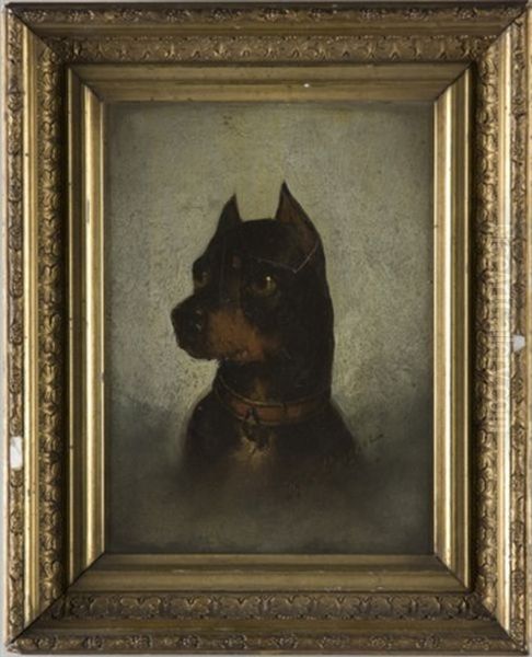 Pinscher - view 1
