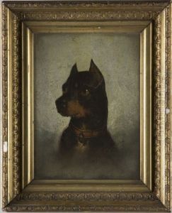 Pinscher Pinscher