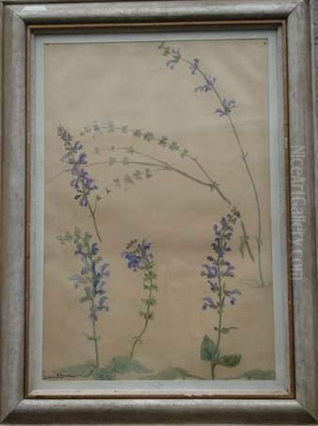 Etude De Fleurs. - view 1
