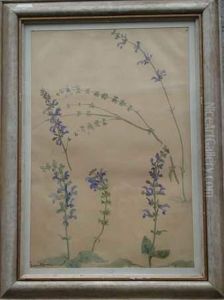 Etude De Fleurs. by Ludovic Alleaume