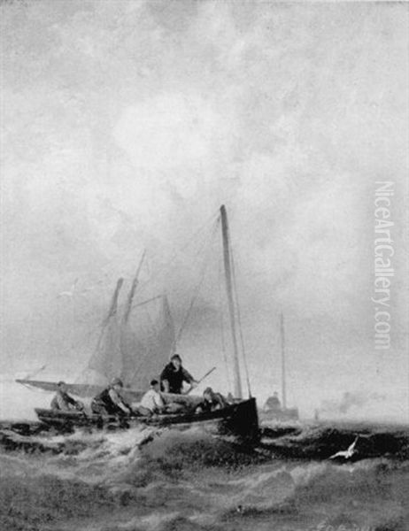 Cat Boats - view 1