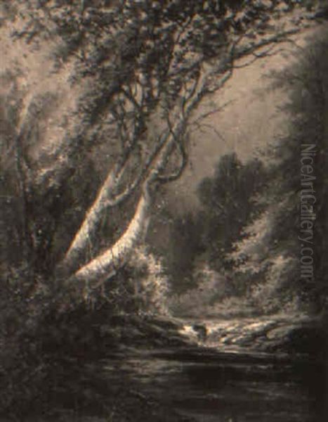 Falling Leaves, Pike County, Pennsylvania - view 1