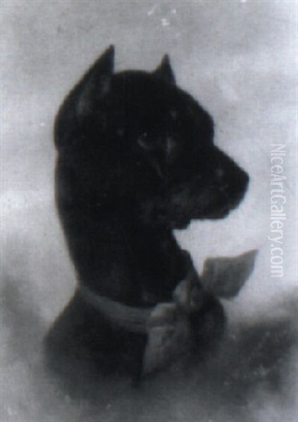 Dog - view 1