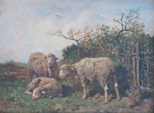 Moutons A L'abri D'une Haie