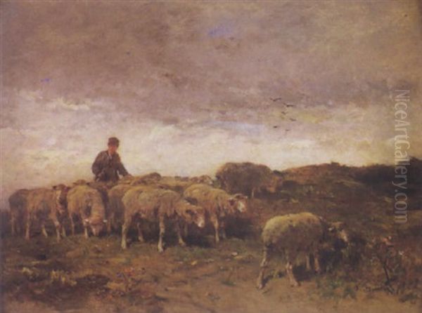Moutons Et Berger Dans Les Champs - view 1