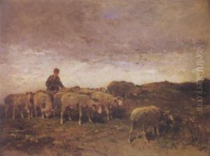 Moutons Et Berger Dans Les Champs Moutons Et Berger Dans Les Champs