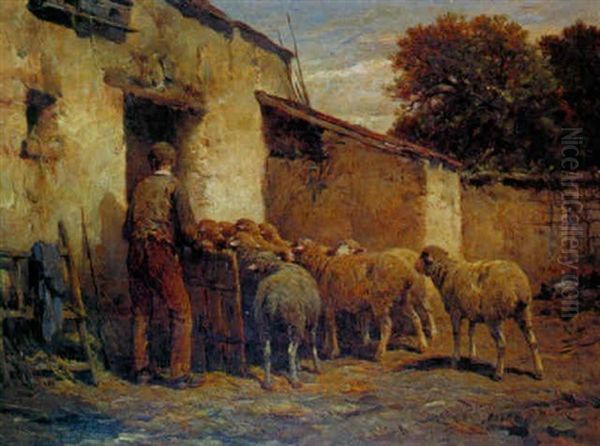 Troupeau De Moutons Rentrant A L'etable - view 1