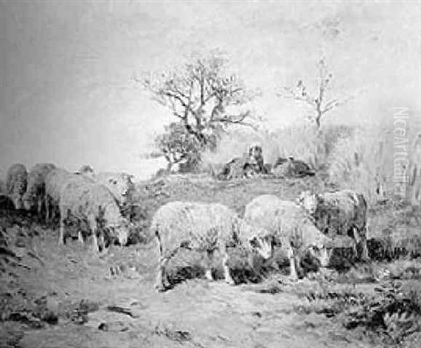 Shepherd With Grazing Sheep - view 1