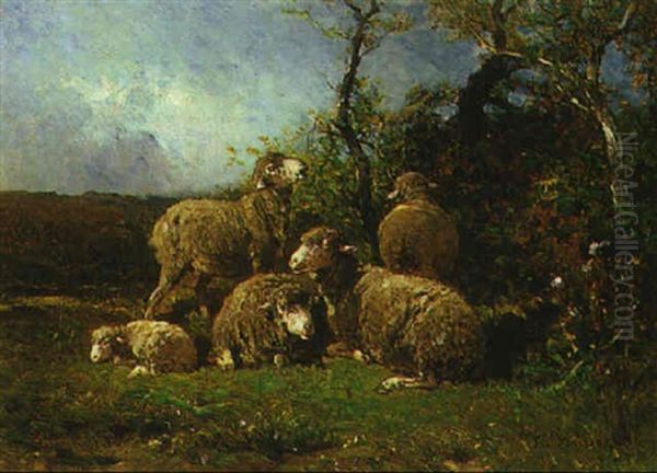 A Flock Of Sheep - view 1